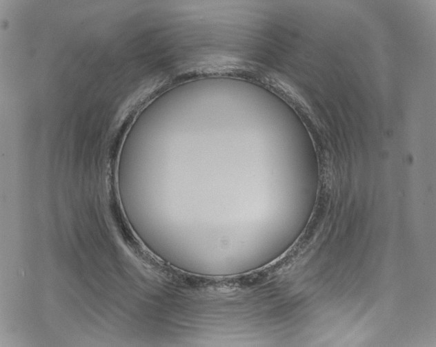 X0000077400586200610201042