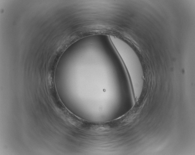X0000077400597200610201042