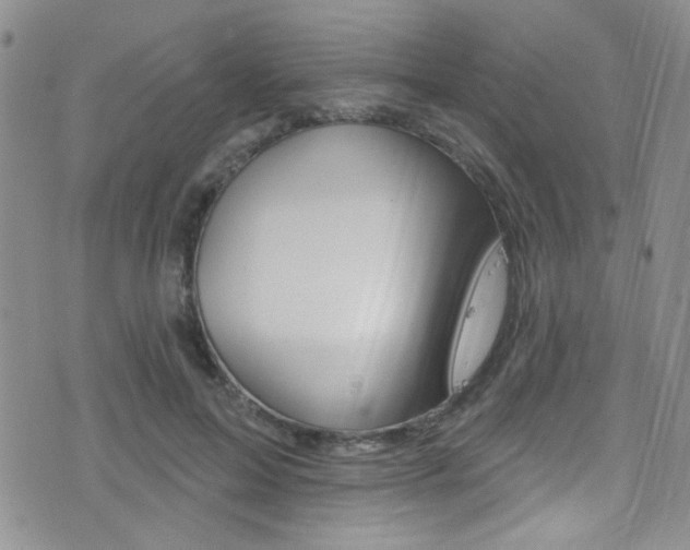 X0000077400599200610201042