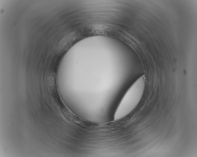 X0000077400603200610201042