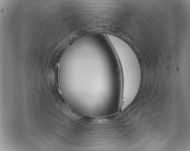 X0000077400617200610201041