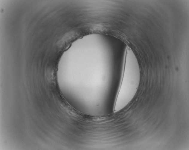 X0000077400619200610201041