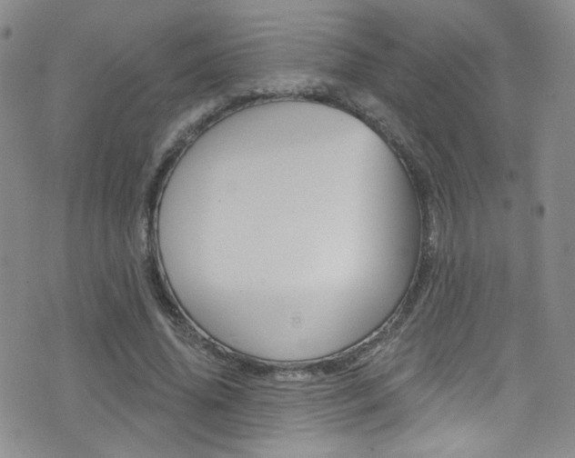 X0000077400636200610201041