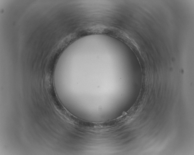 X0000077400641200610201041