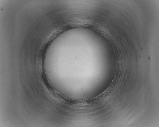 X0000077400642200610201041