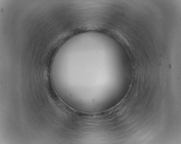 X0000077400643200610201041