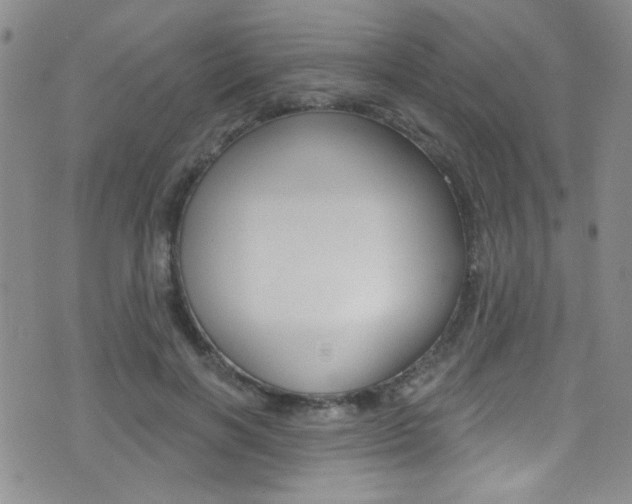 X0000077400646200610201041