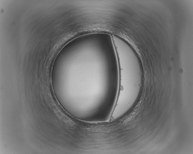 X0000077400673200610201041
