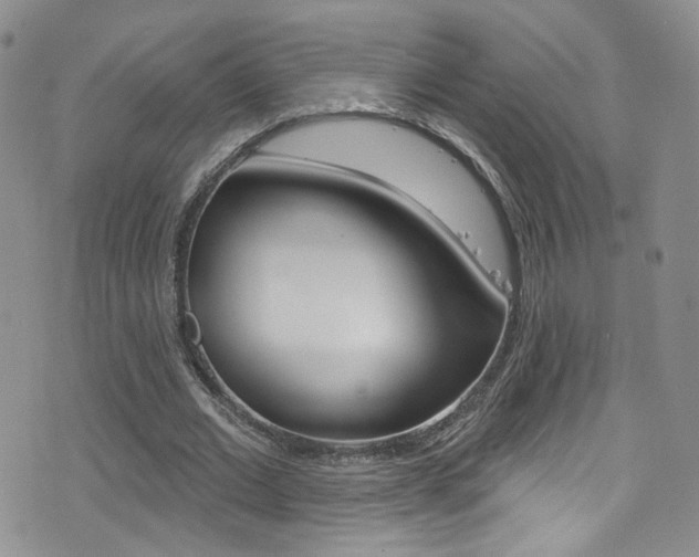 X0000077400677200610201040