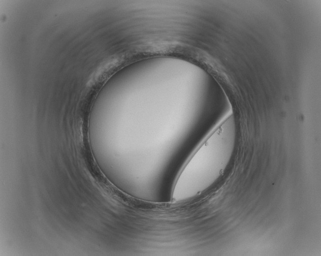 X0000077400685200610201040