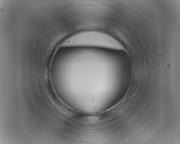 X0000077400692200610201040