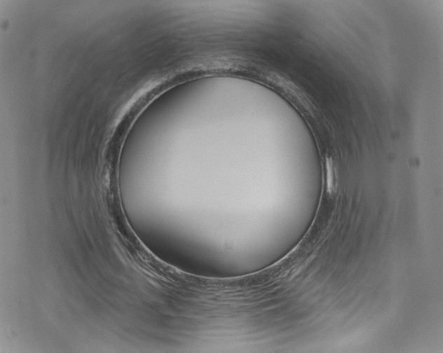 X0000077400723200610201039