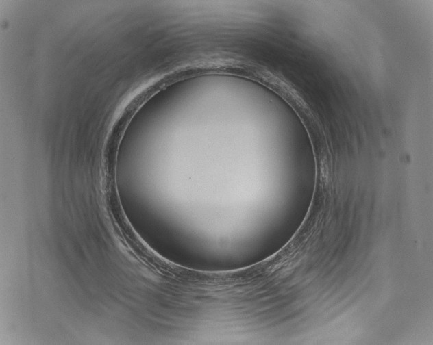 X0000077400724200610201039