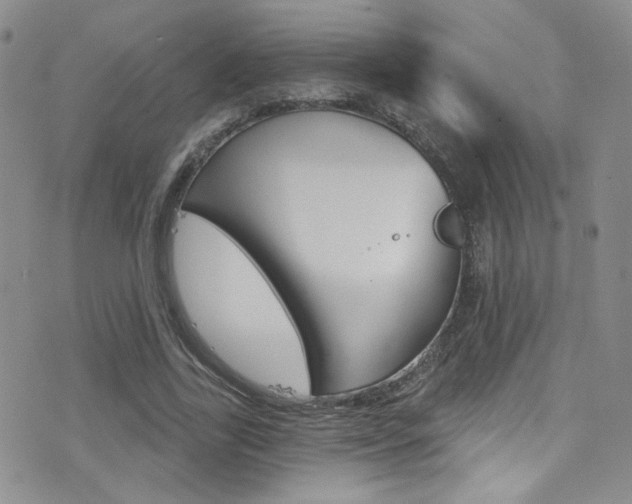 X0000077400731200610201039