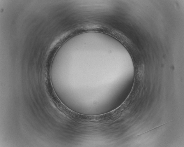 X0000077400732200610201039