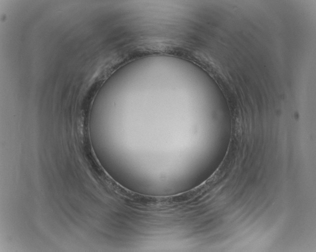 X0000077400739200610201039