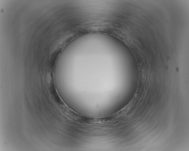 X0000077400746200610201039