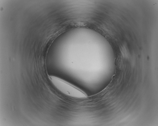 X0000077400747200610201039