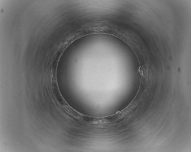 X0000077400752200610201040