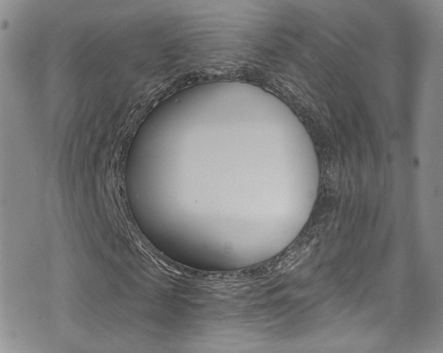 X0000077400817200610201037