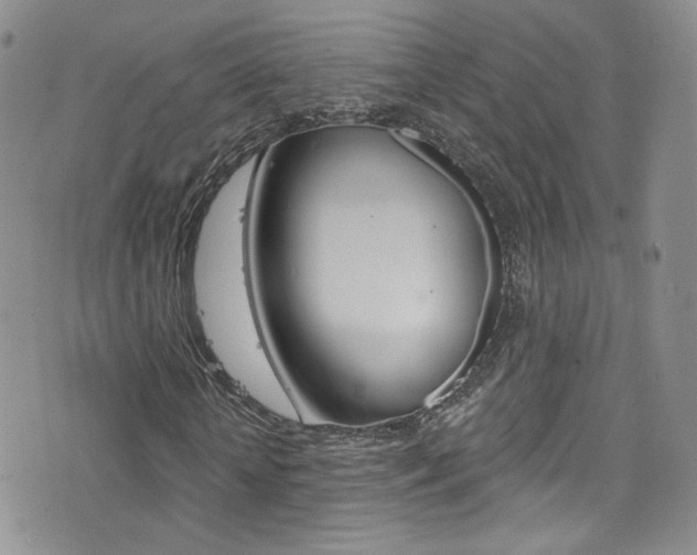 X0000077400818200610201037