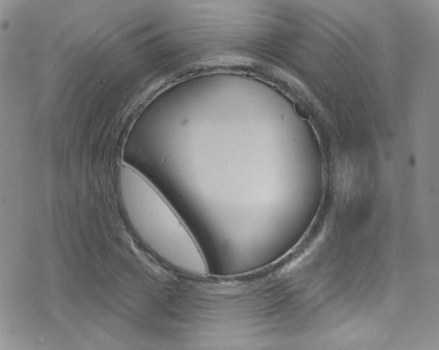 X0000077400833200610201038