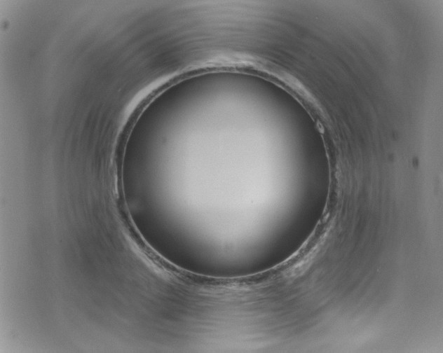 X0000077400838200610201038