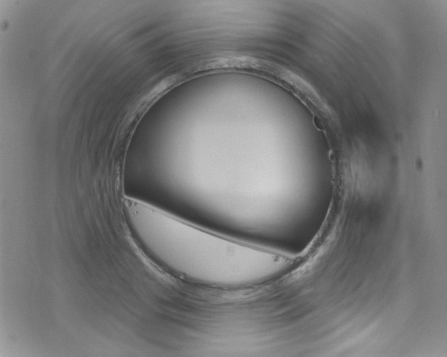 X0000077400841200610201038