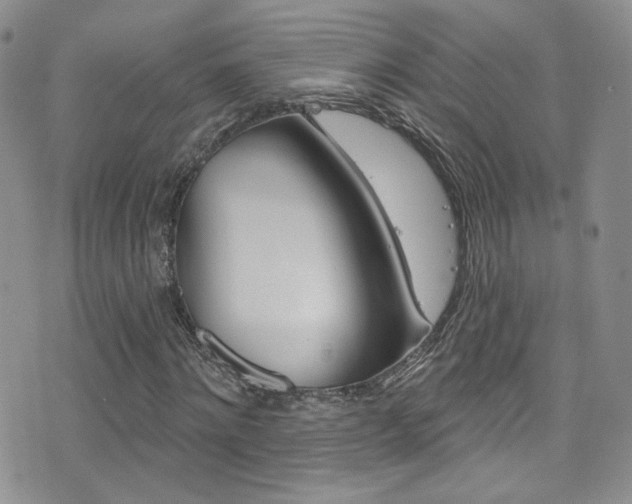 X0000077400868200610201037