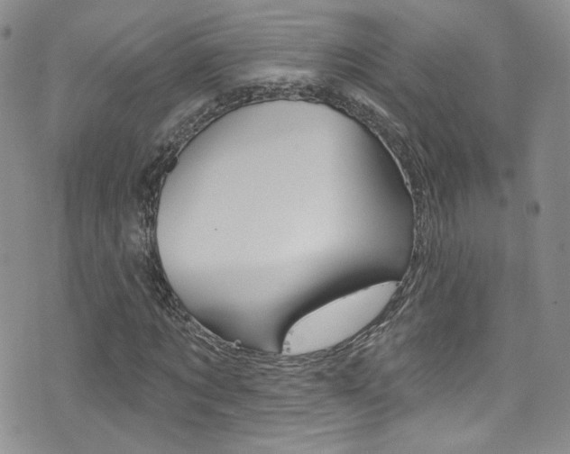 X0000077400869200610201037