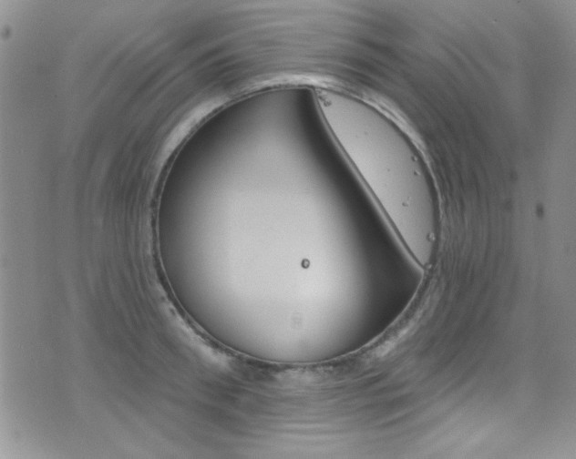 X0000077400898200610201037