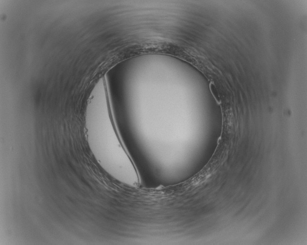 X0000077400916200610201036