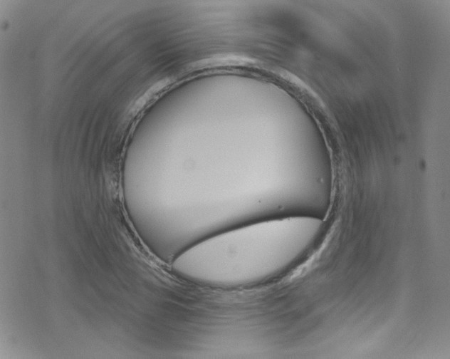 X0000077400929200610201036