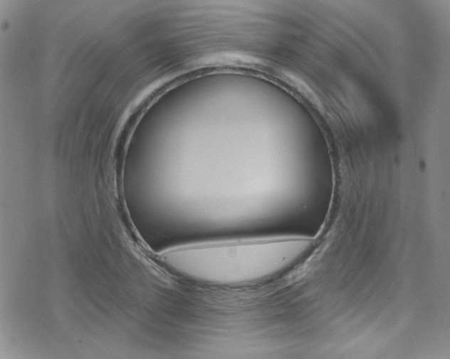 X0000077400931200610201036