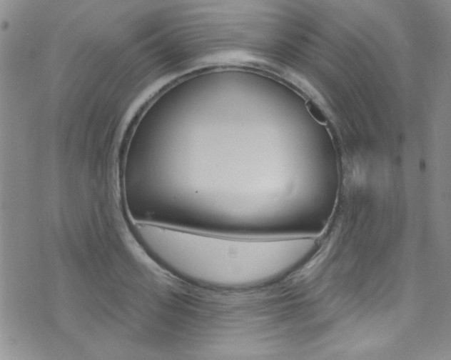 X0000077400939200610201036