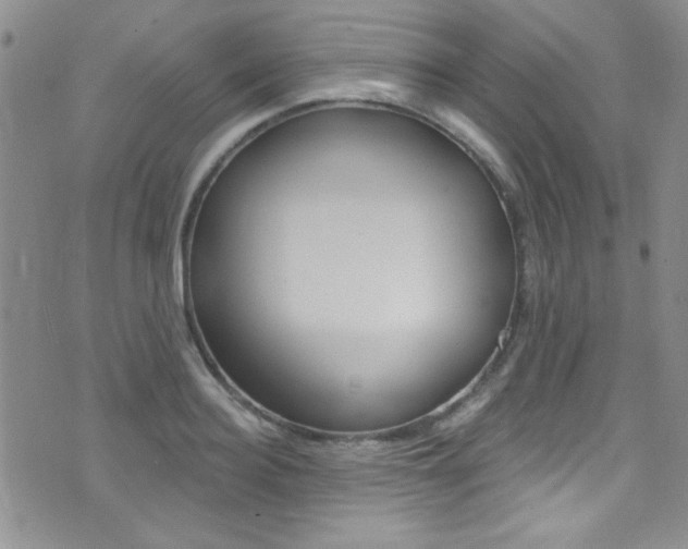 X0000077400940200610201036