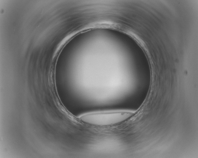 X0000077400960200610201037