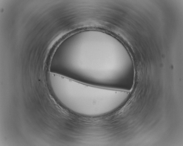 X0000077400975200610201036
