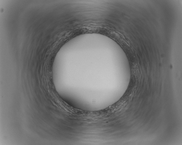 X0000077401009200610201034