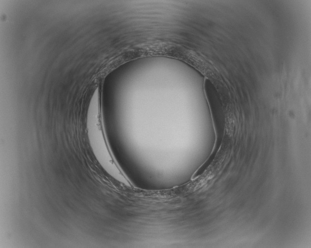 X0000077401010200610201034