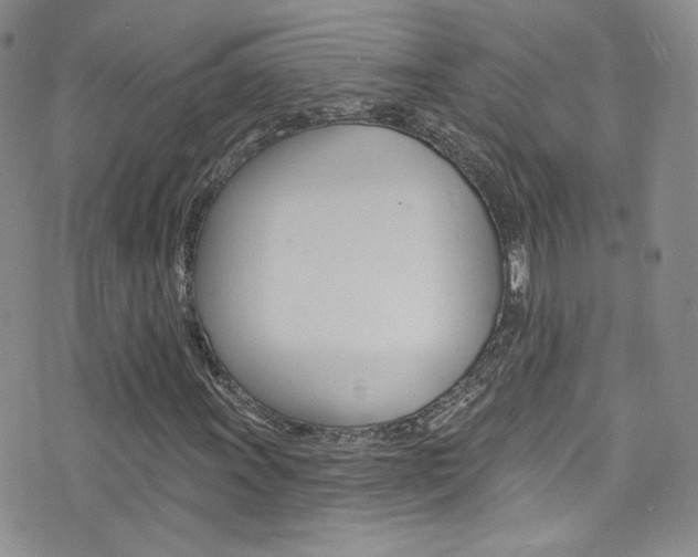 X0000077401011200610201034