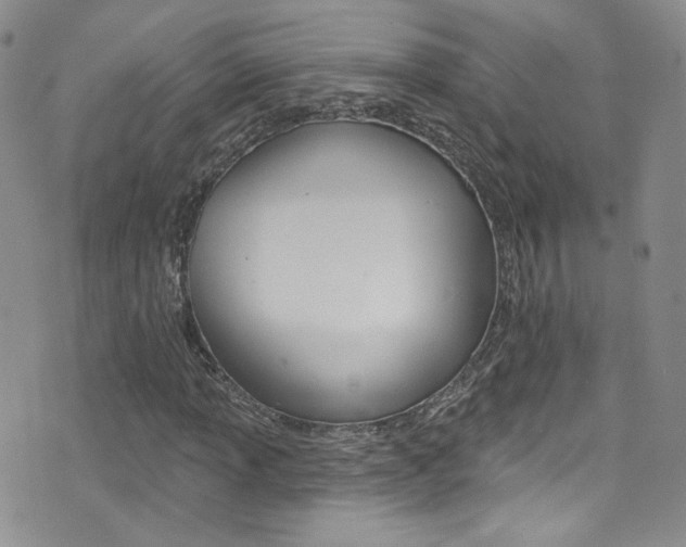 X0000077401013200610201034