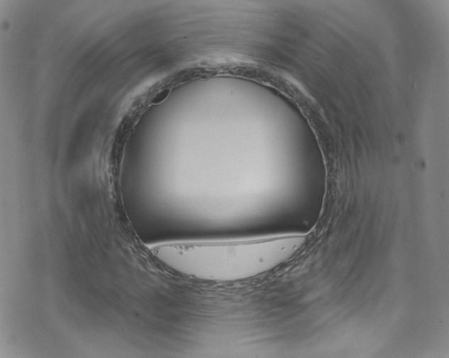 X0000077401016200610201034
