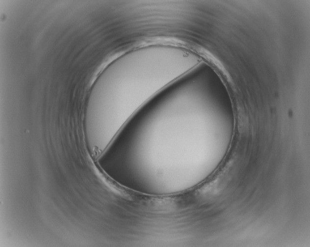 X0000077401041200610201035