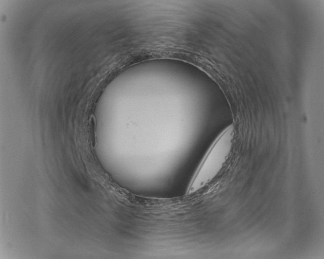X0000077401057200610201034
