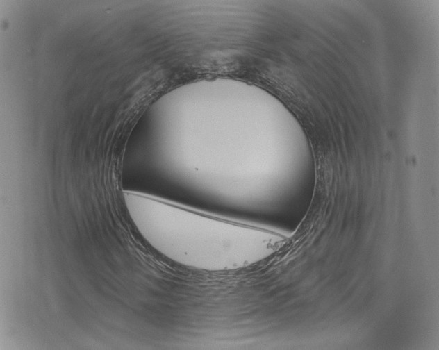 X0000077401058200610201034