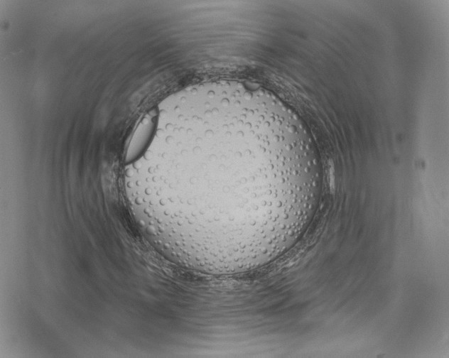 X0000077401059200610201034