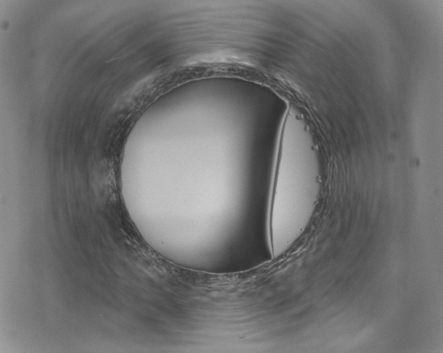 X0000077401062200610201034
