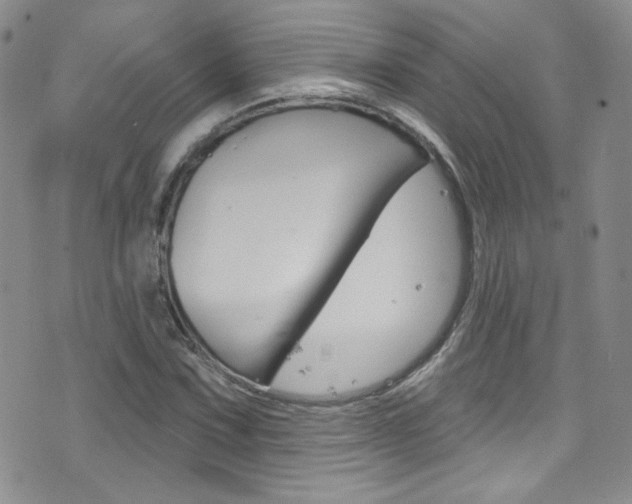 X0000077401067200610201034
