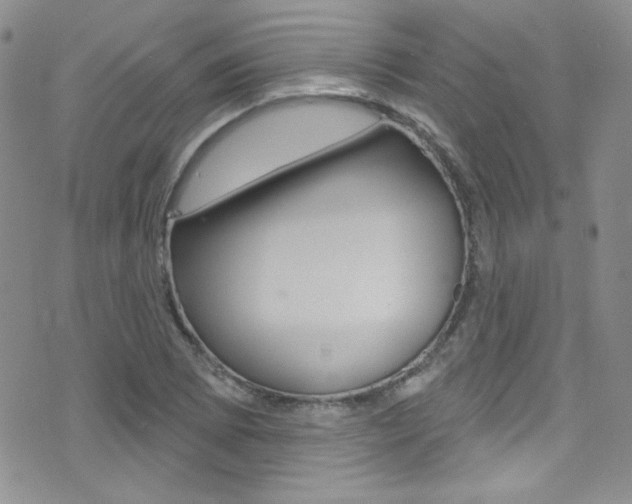 X0000077401073200610201034